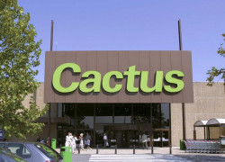 cactus entrée